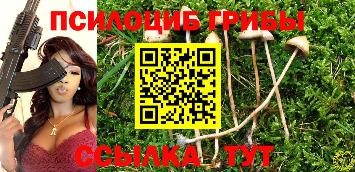 Псилоцибиновые грибы ЛСД Кизляр