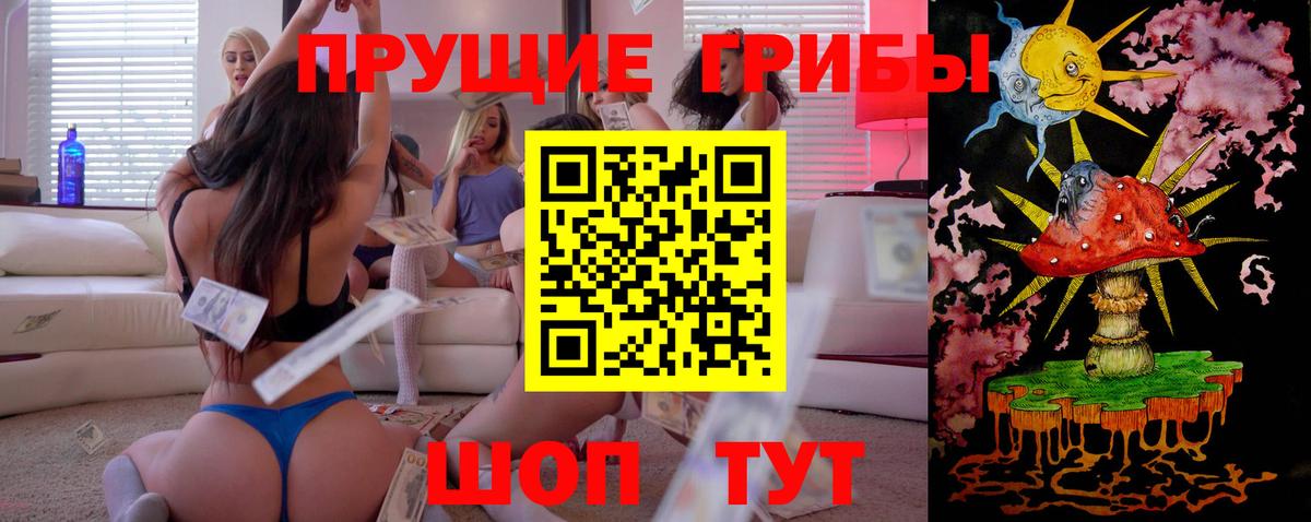 Кизляр  Галлюциногенные грибы Psilocybine cubensis  Вход с VPN 