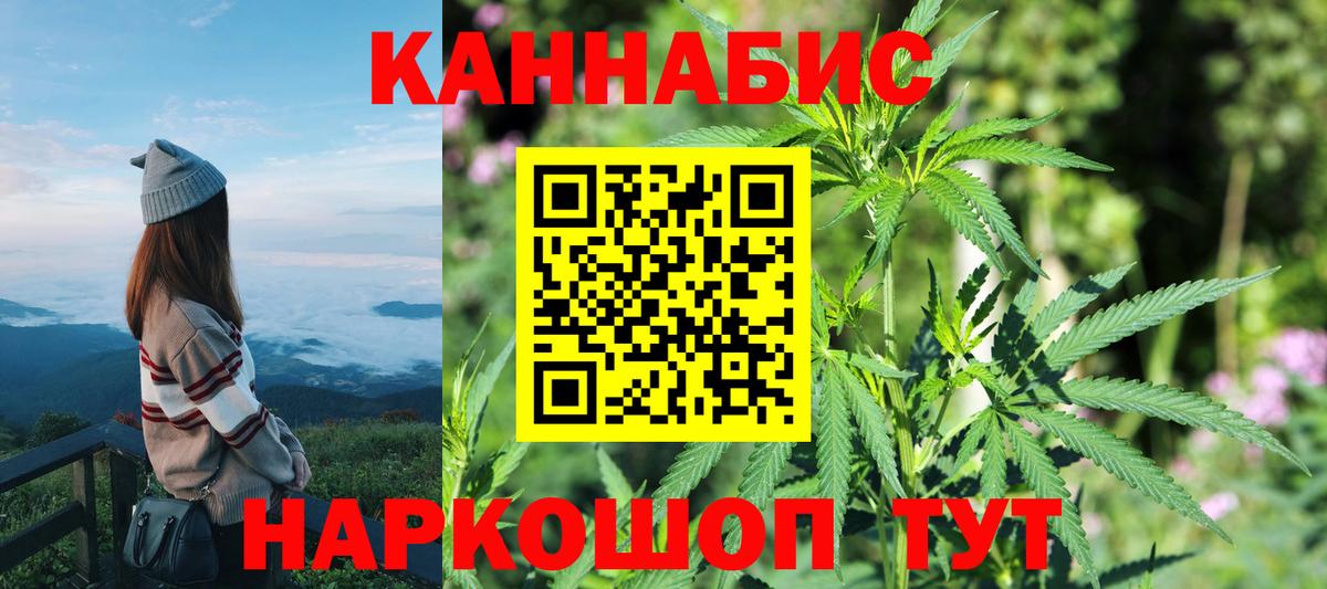 Шишки марихуана White Widow  Вход с VPN  Каннабис Amnesia  Кизляр 
